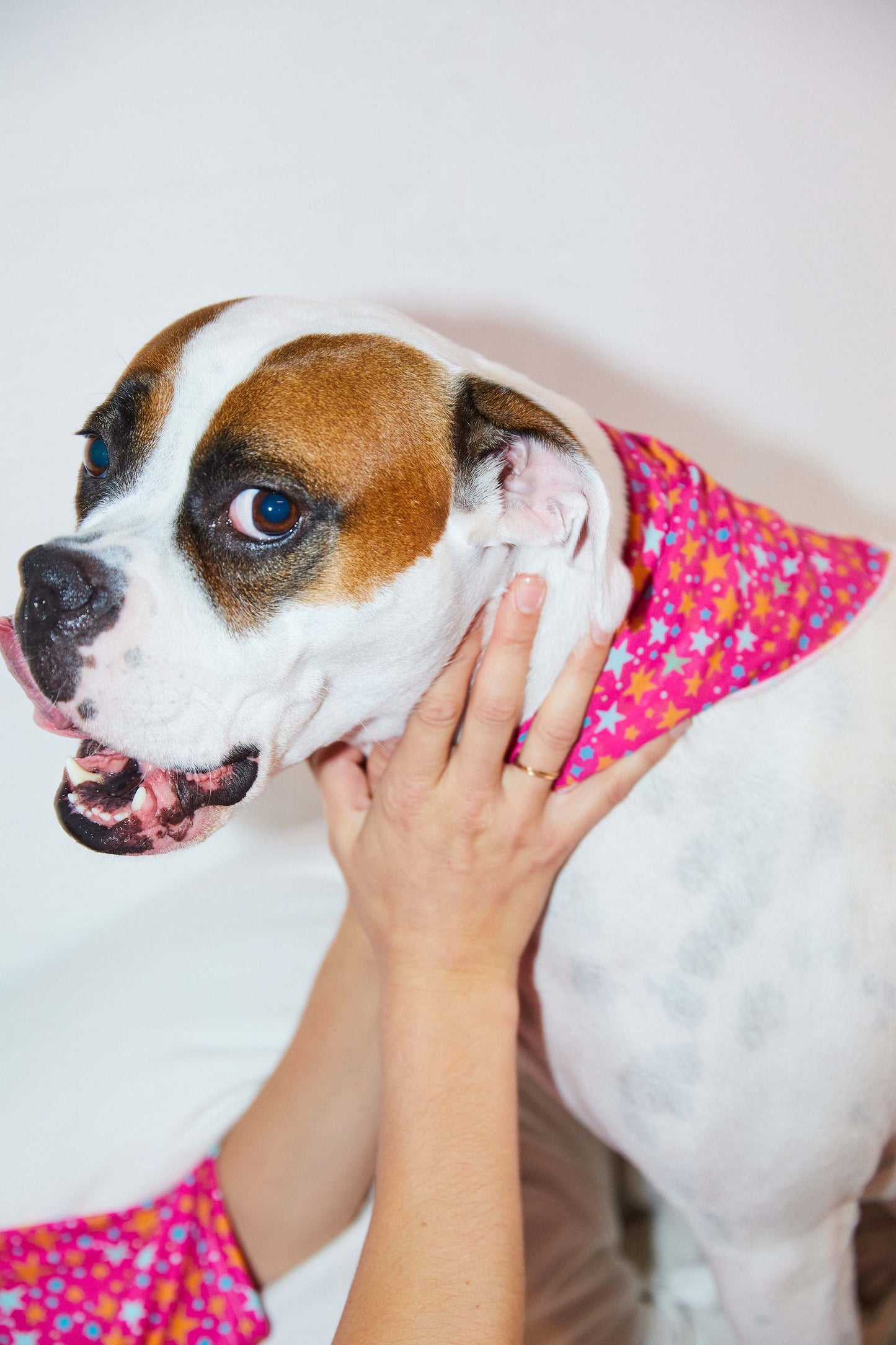 CHIFFON BANDANA STARDUST PINK